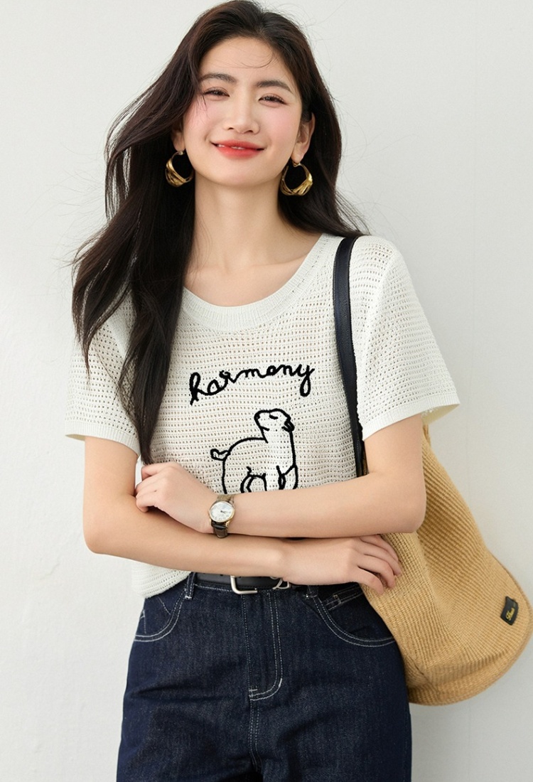 Korean style summer sweater slim embroidery tops