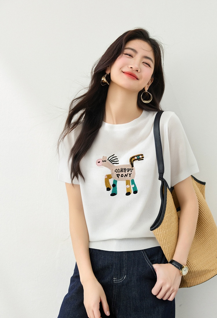 Korean style pony Casual embroidery sweater for women
