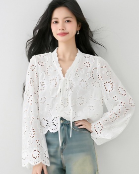 Sunscreen long sleeve lace shirt summer white hollow shawl