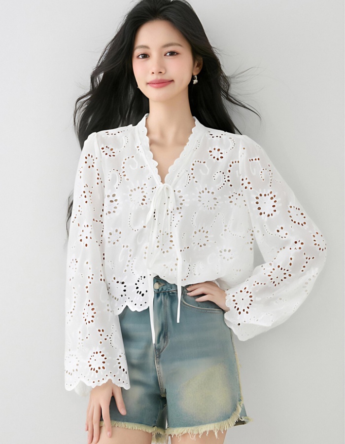 Sunscreen long sleeve lace shirt summer white hollow shawl