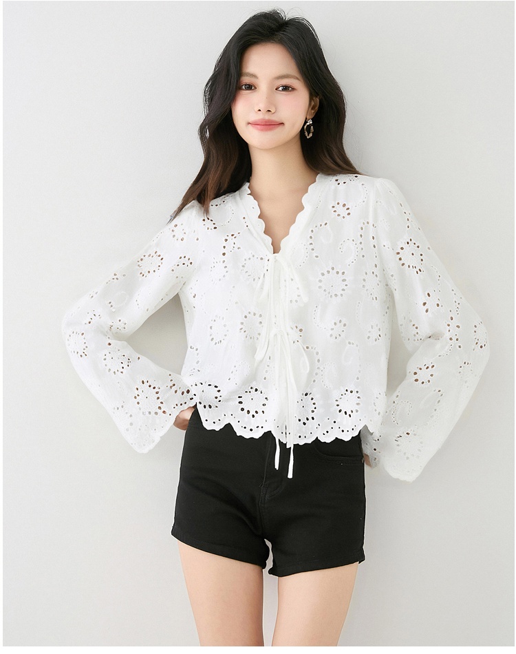 Sunscreen long sleeve lace shirt summer white hollow shawl