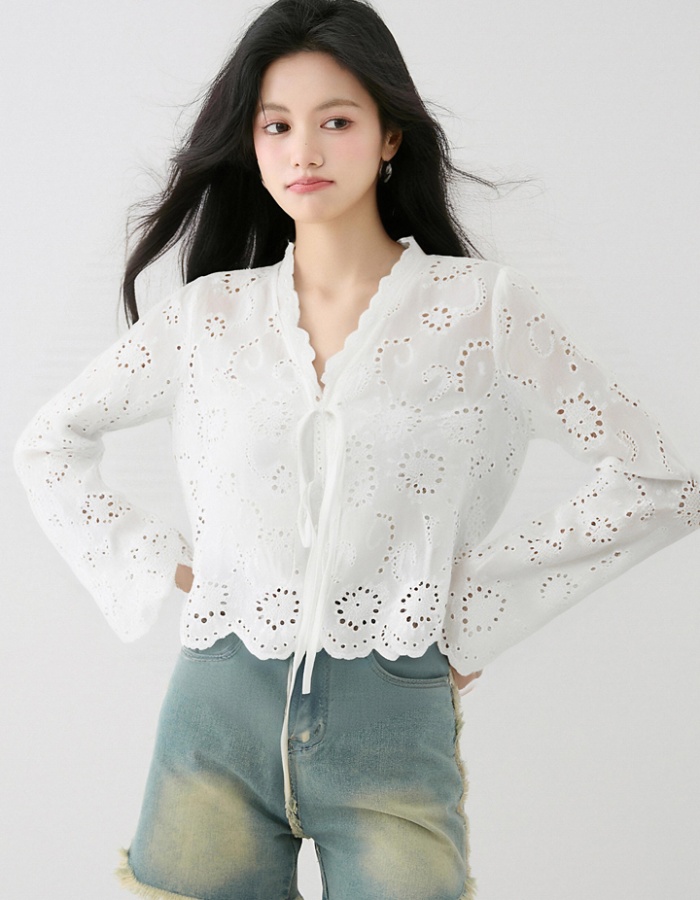 Sunscreen long sleeve lace shirt summer white hollow shawl