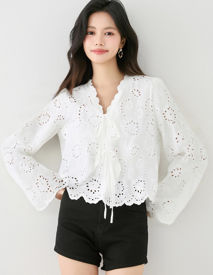 Sunscreen long sleeve lace shirt summer white hollow shawl