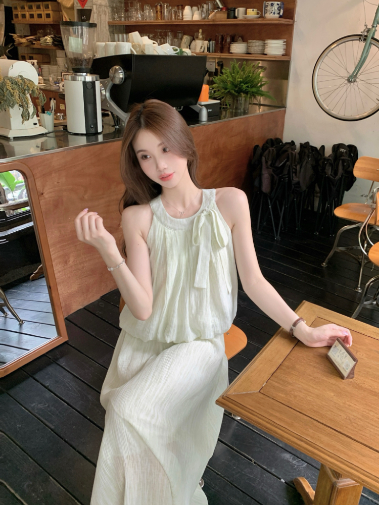 Frenum crimp Korean style vest high waist long skirt 2pcs set