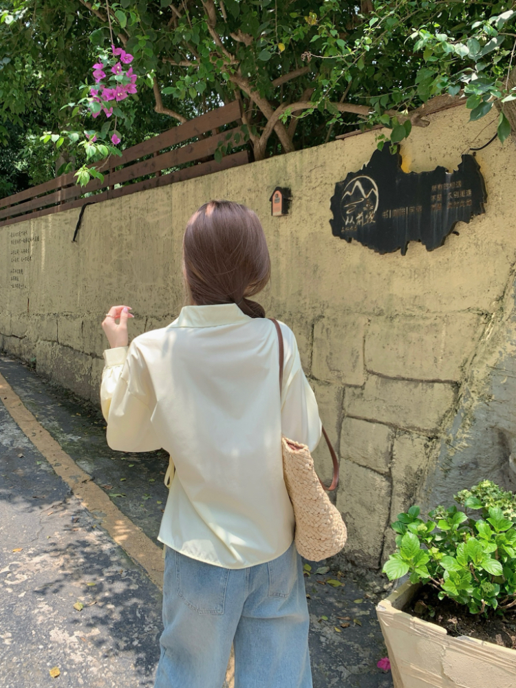 Long sleeve frenum shirt Korean style irregular tops