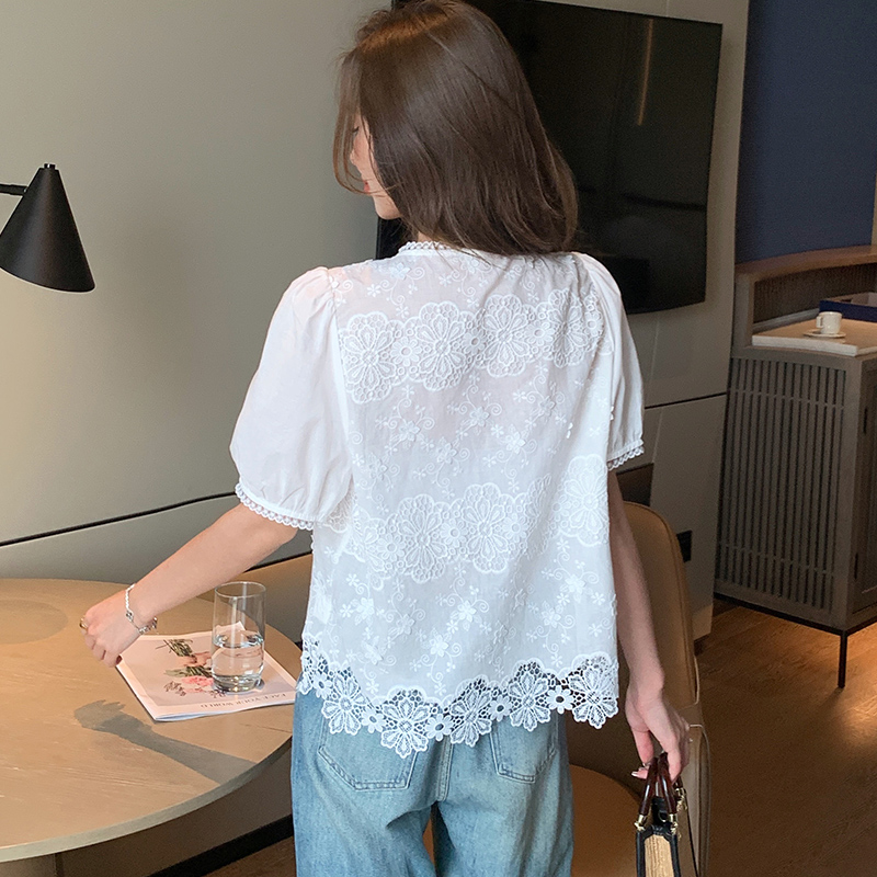 Embroidered Korean style shirt V-neck short sleeve tops