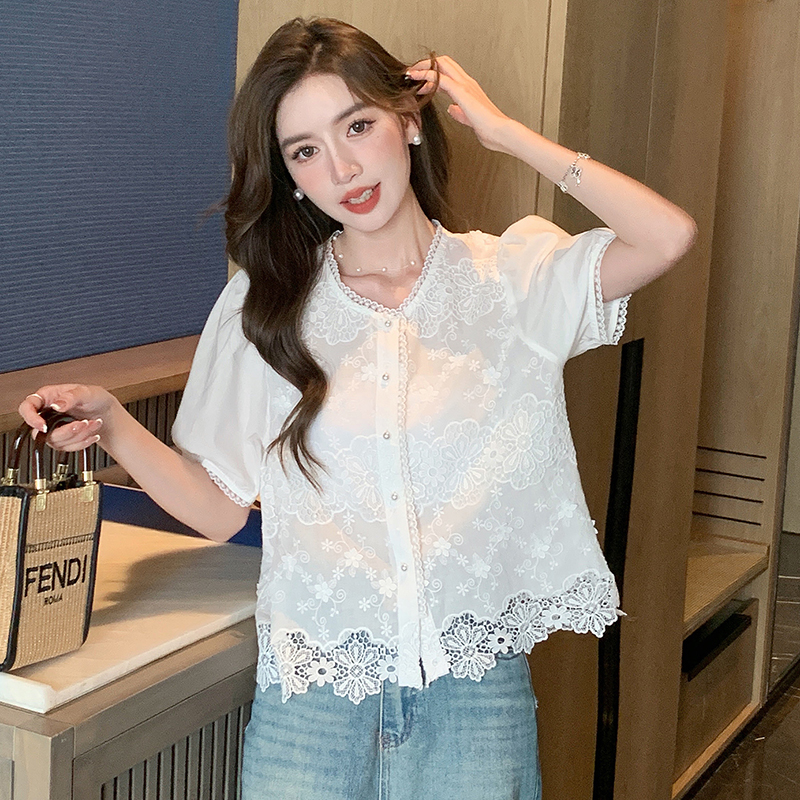 Embroidered Korean style shirt V-neck short sleeve tops