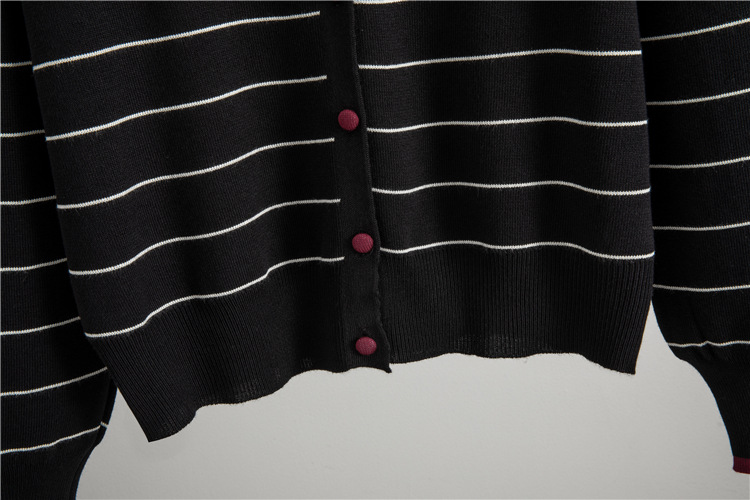 Autumn cardigan sweater 2pcs set for women