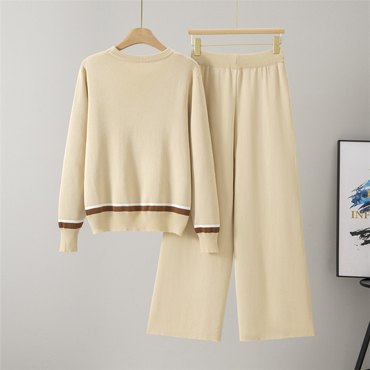 Wide leg pants 2pcs set for women