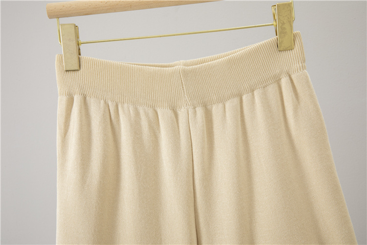 Wide leg pants 2pcs set for women