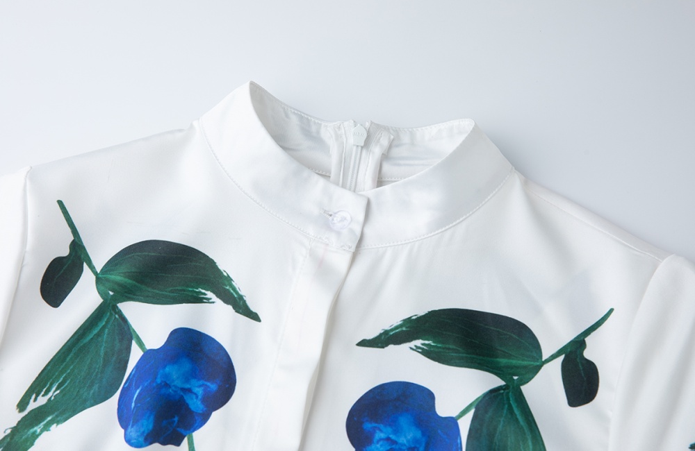 Short sleeve A-line high waist shirt slim printing dress