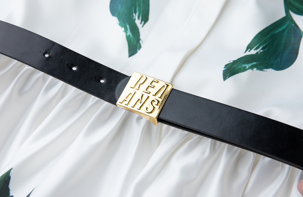 Short sleeve A-line high waist shirt slim printing dress