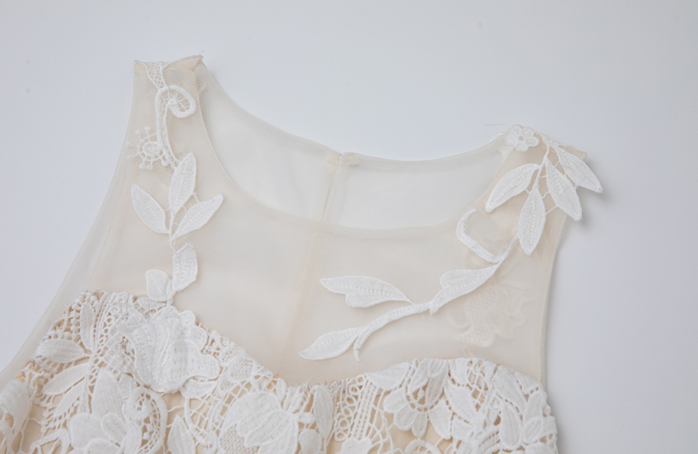 Gauze lace applique embroidery splice leaves round neck dress