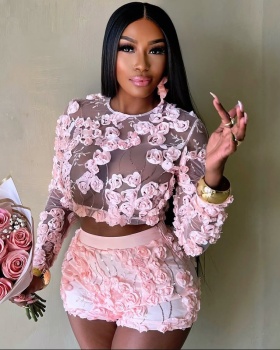 Embroidered sexy shorts European style tops 2pcs set