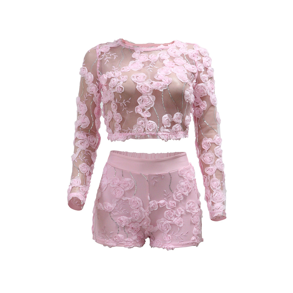 Embroidered sexy shorts European style tops 2pcs set