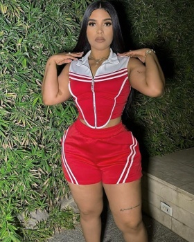 Slim Casual tops lapel shorts 2pcs set for women