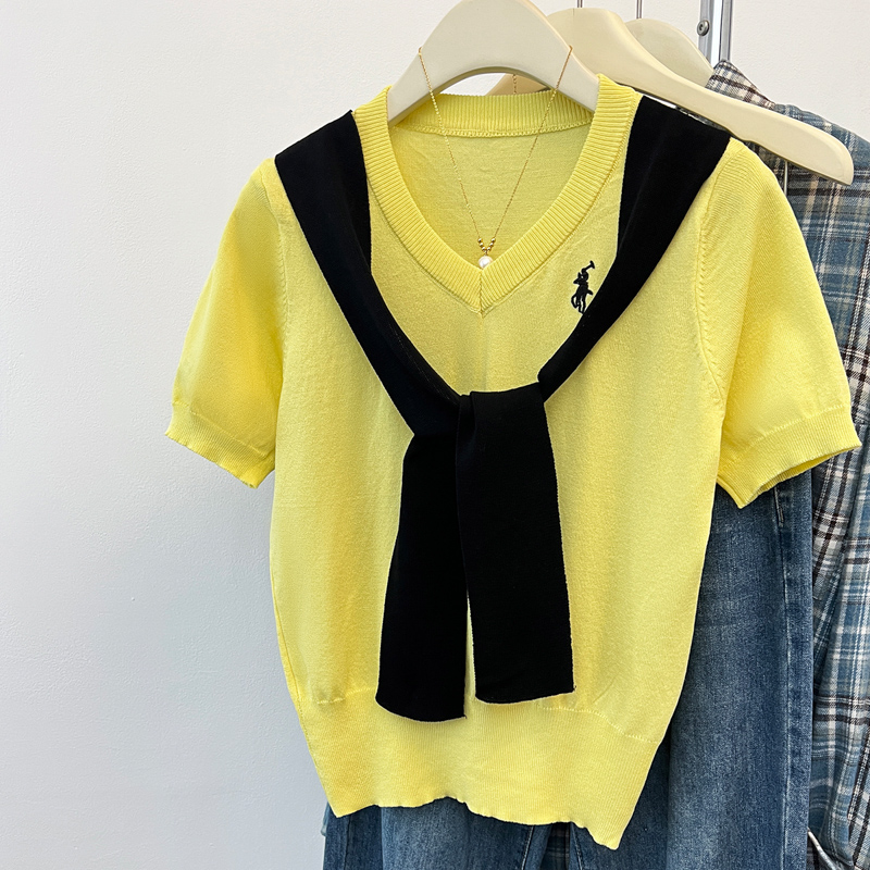 V-neck summer embroidery pony tops 2pcs set