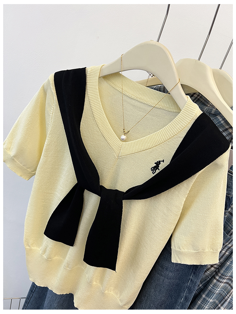 V-neck summer embroidery pony tops 2pcs set