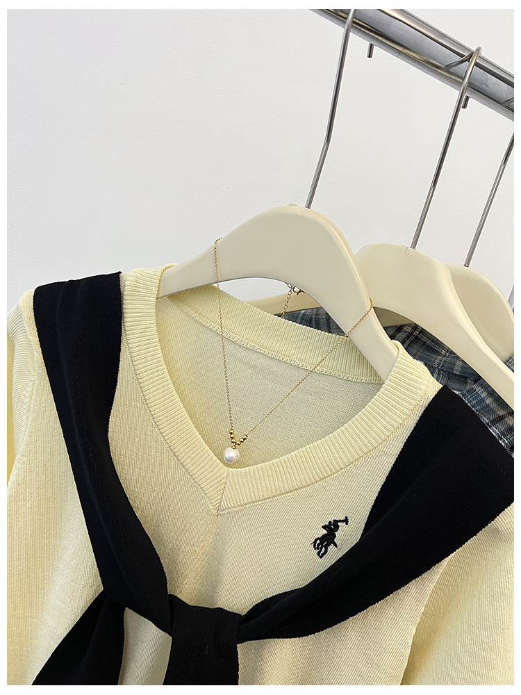 V-neck summer embroidery pony tops 2pcs set