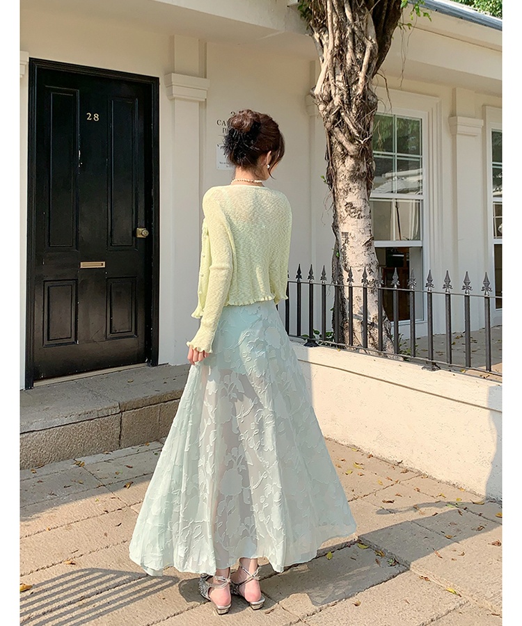 Pinched waist dress France style tops 2pcs set for women