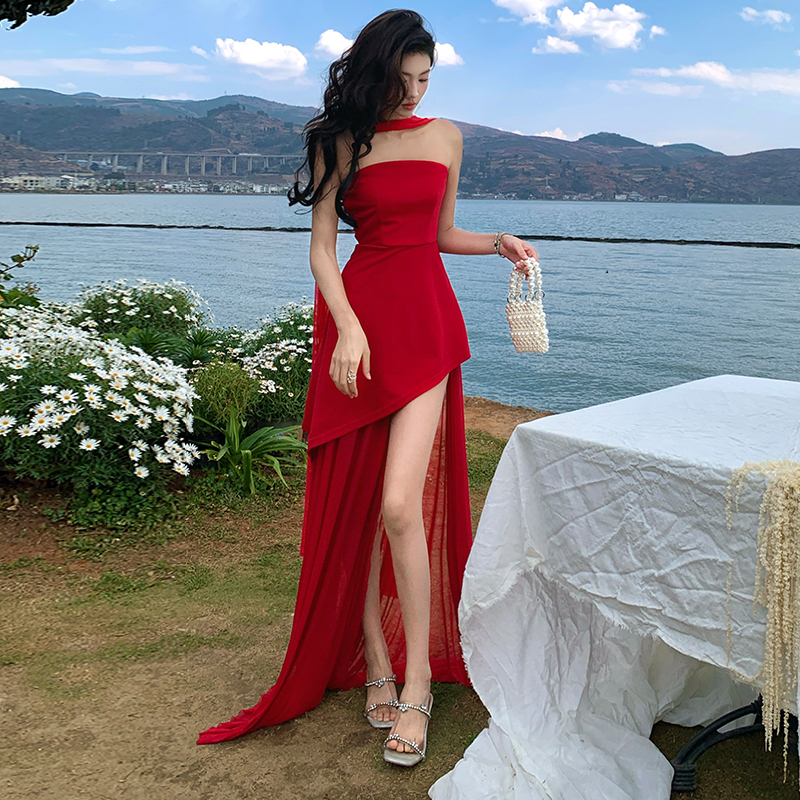 Temperament fashion long dress slim dress for women