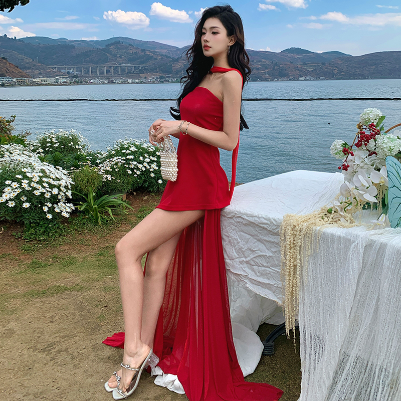 Temperament fashion long dress slim dress for women