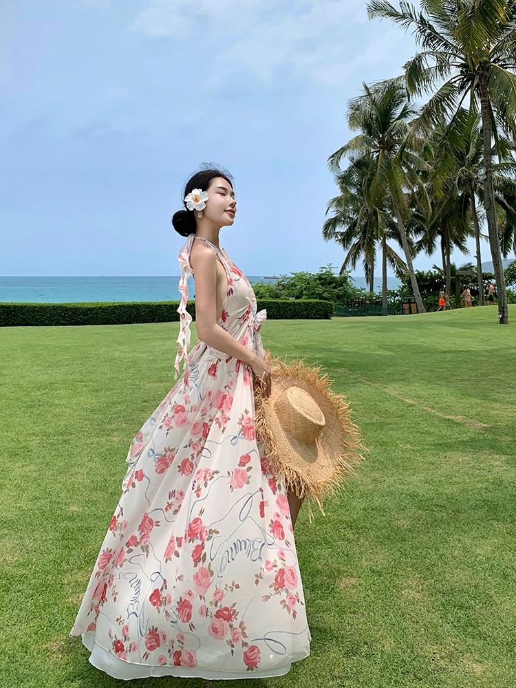 Irregular dress France style long dress