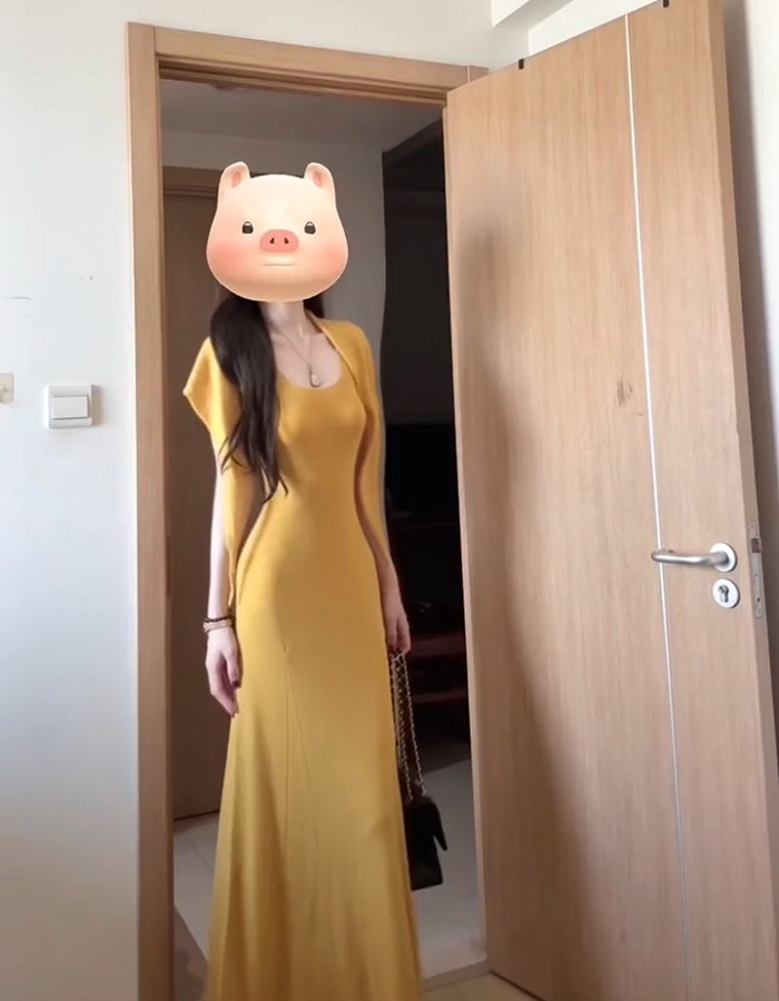 Slim wear dress knitted long dress