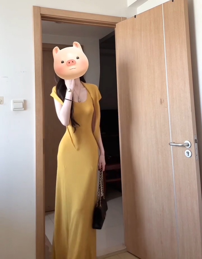Slim wear dress knitted long dress
