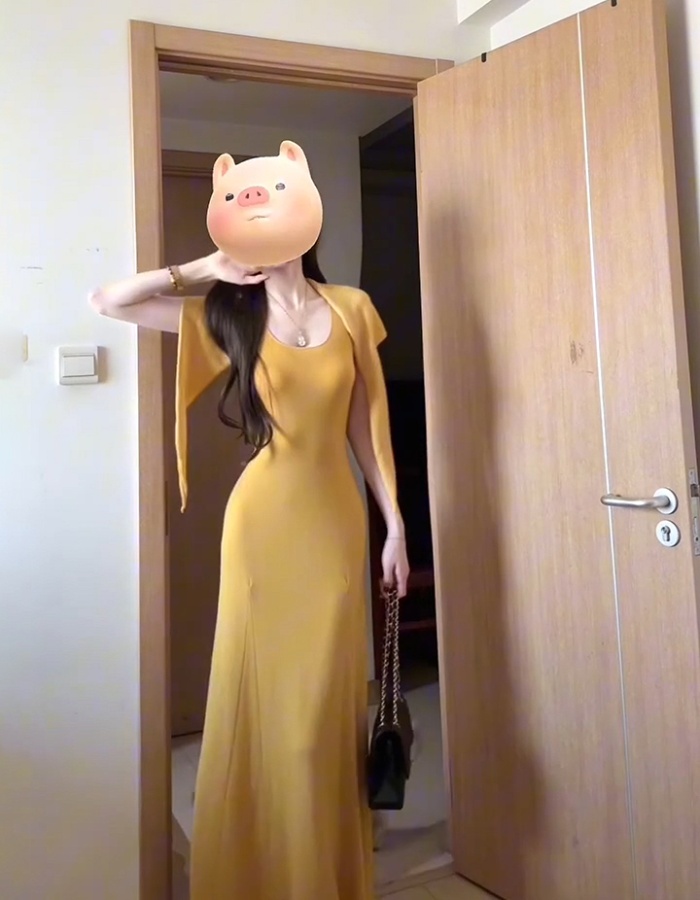 Slim wear dress knitted long dress