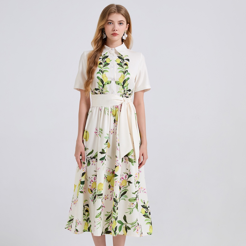 A-line high waist short sleeve shirt printing summer dress