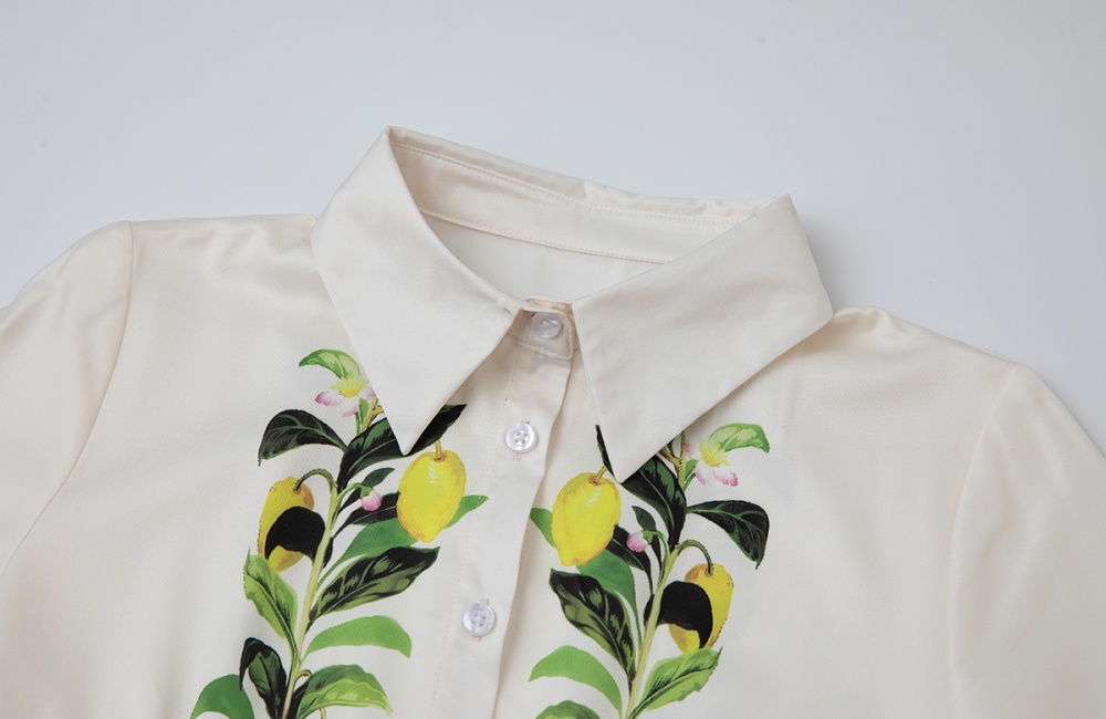 A-line high waist short sleeve shirt printing summer dress