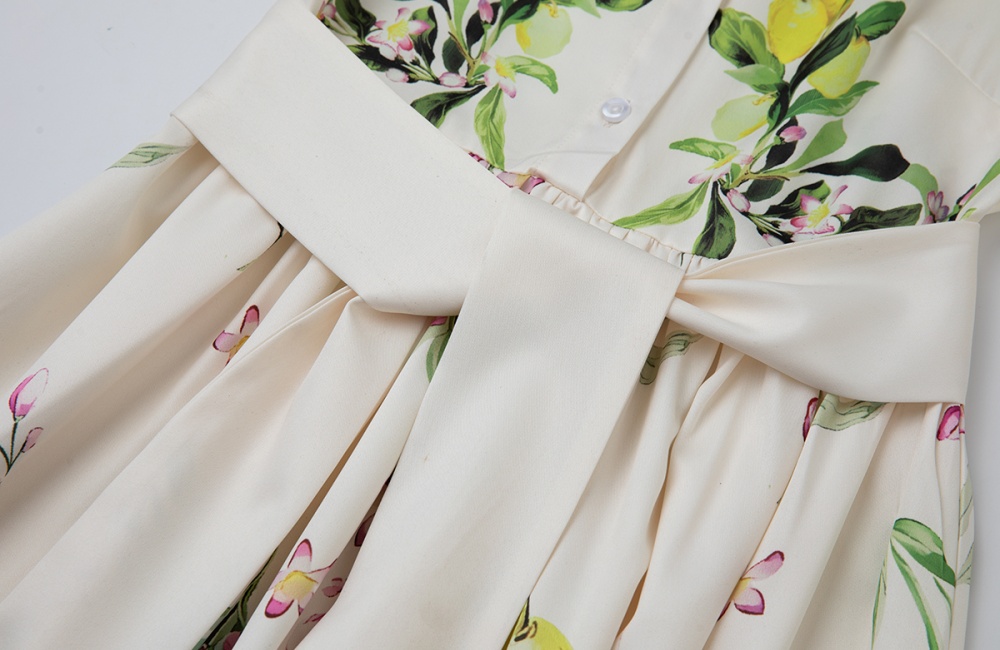 A-line high waist short sleeve shirt printing summer dress