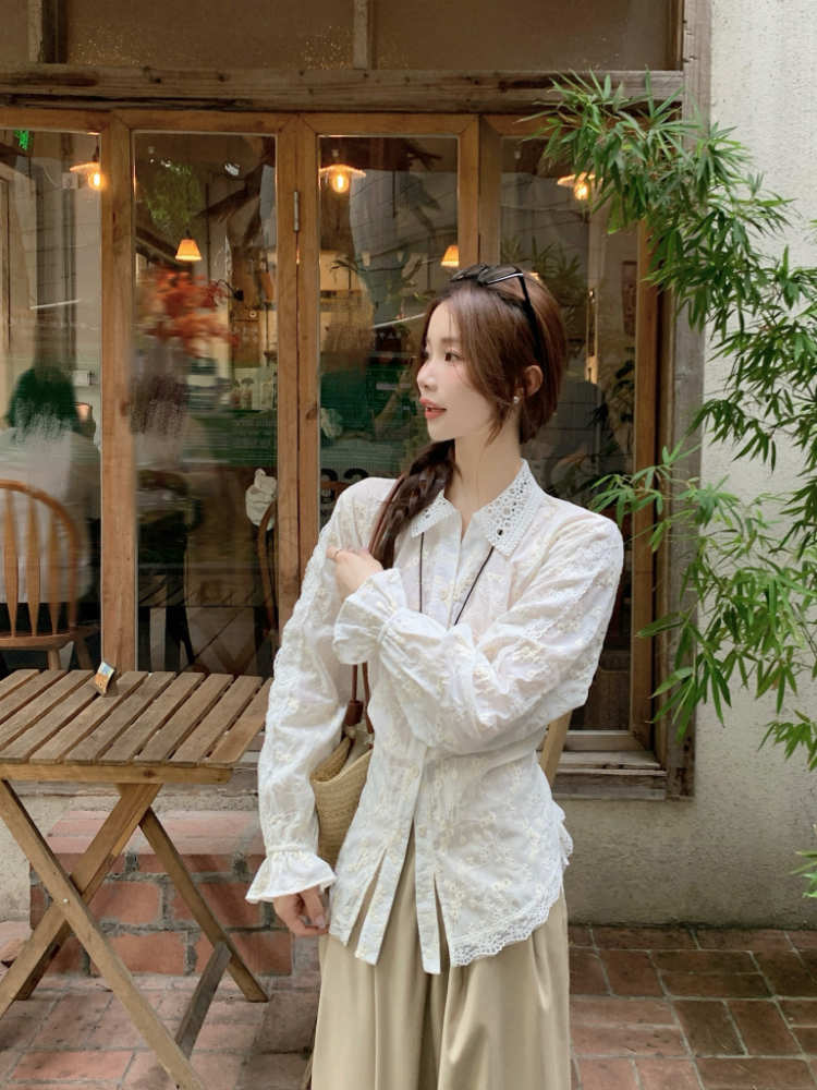 Slim Korean style shirt frenum tops for women