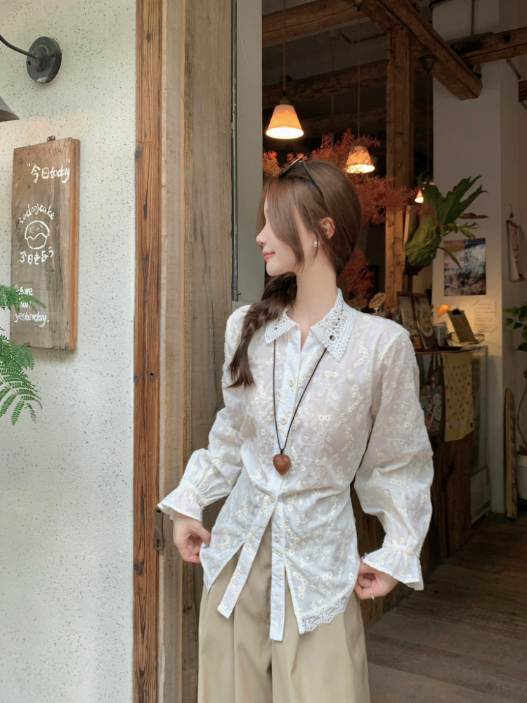 Slim Korean style shirt frenum tops for women