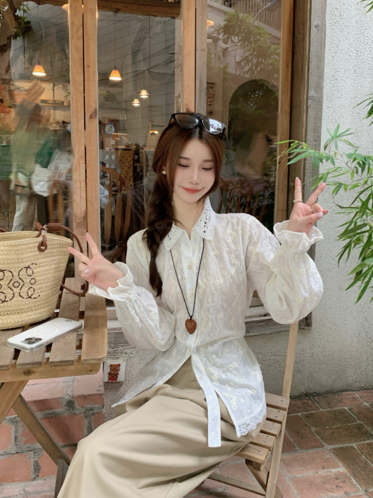 Slim Korean style shirt frenum tops for women