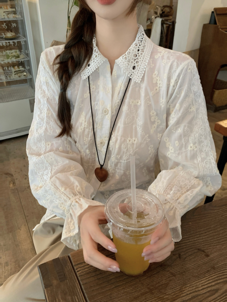 Slim Korean style shirt frenum tops for women