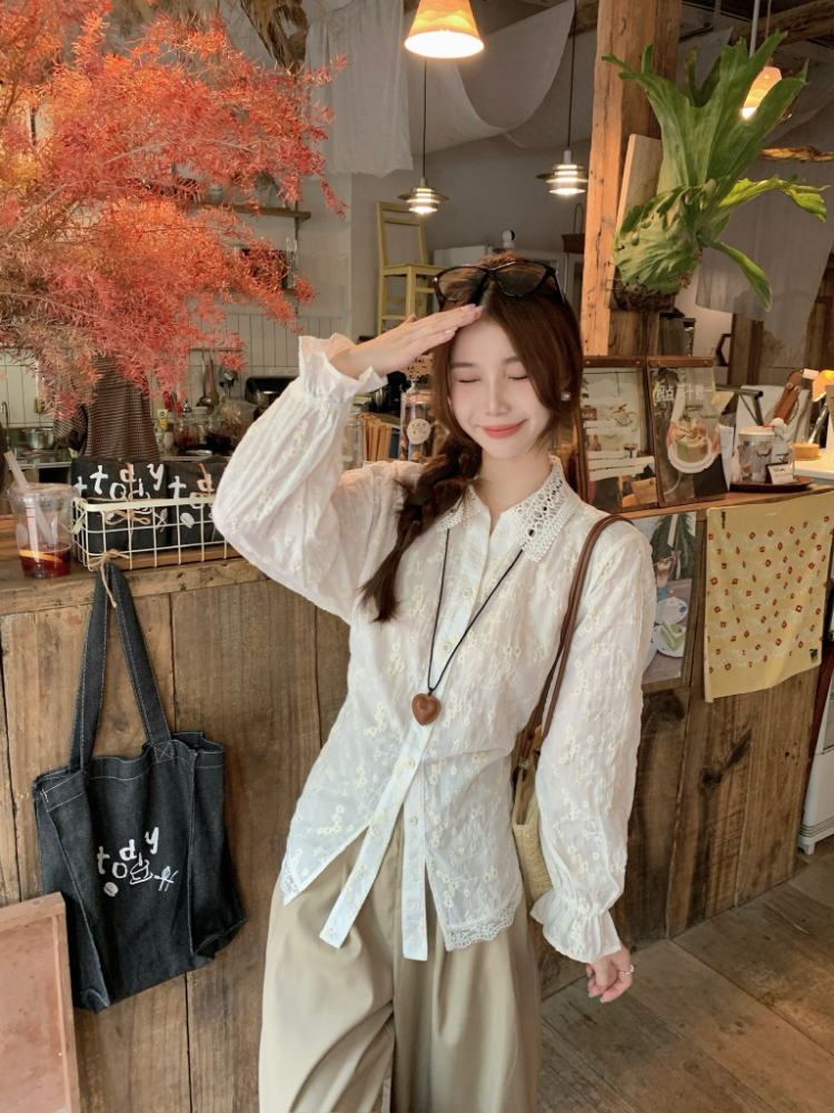 Slim Korean style shirt frenum tops for women