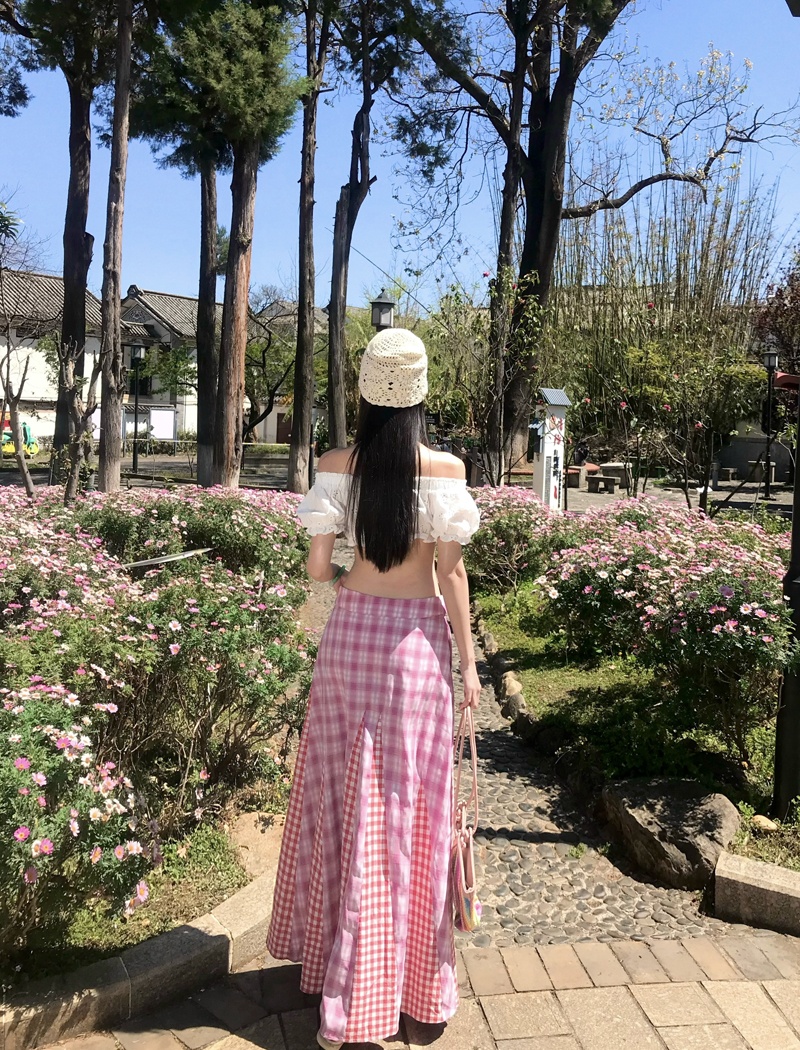 Short embroidery low-waist skirt white spicegirl tops