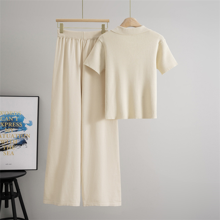 Temperament tops wide leg pants 2pcs set for women