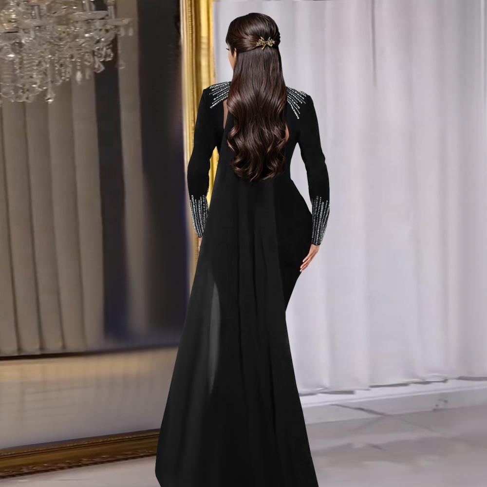 Long sleeve perspective fashion elegant dress for women