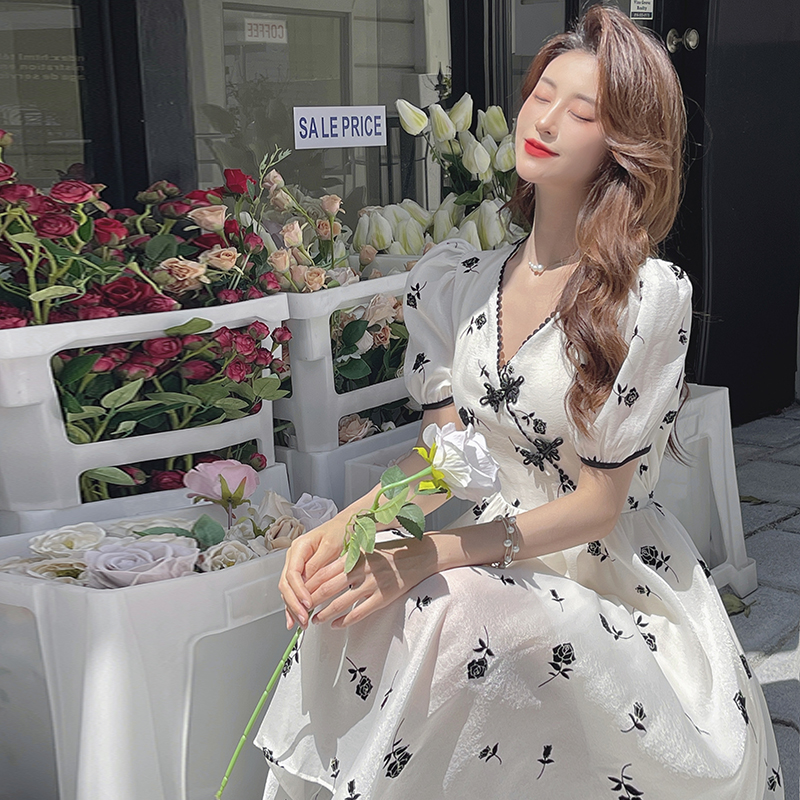 Temperament puff sleeve dress V-neck banquet formal dress for women