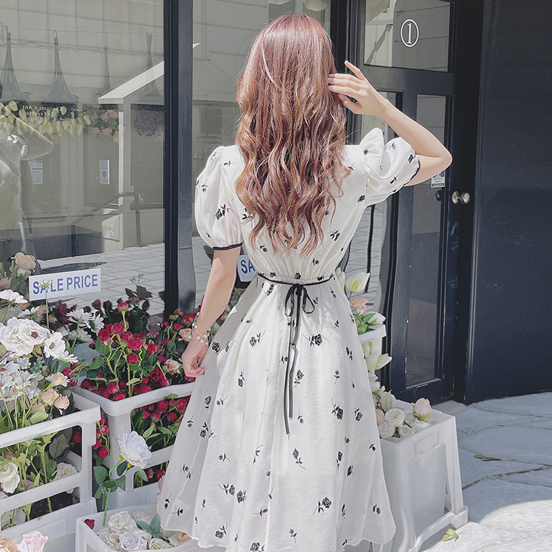 Temperament puff sleeve dress V-neck banquet formal dress for women