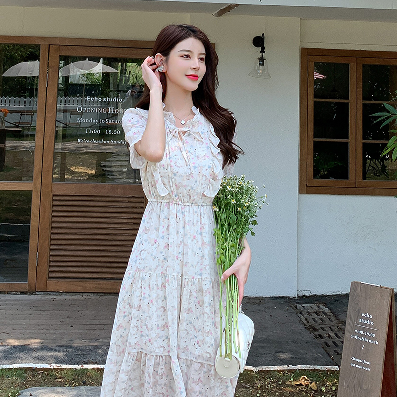 Commuting chiffon show young retro printing dress
