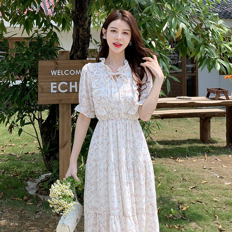 Commuting chiffon show young retro printing dress