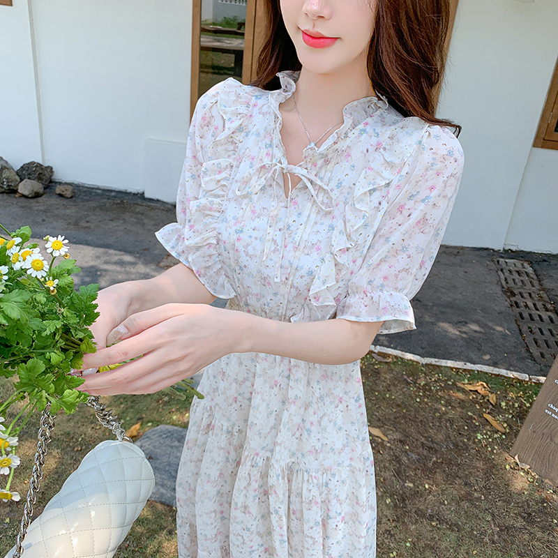 Commuting chiffon show young retro printing dress