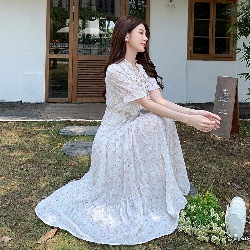 Commuting chiffon show young retro printing dress