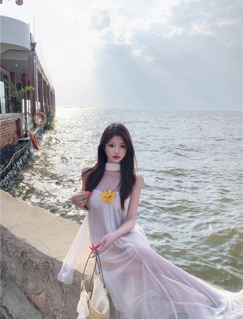 Vacation France style dress lady long dress