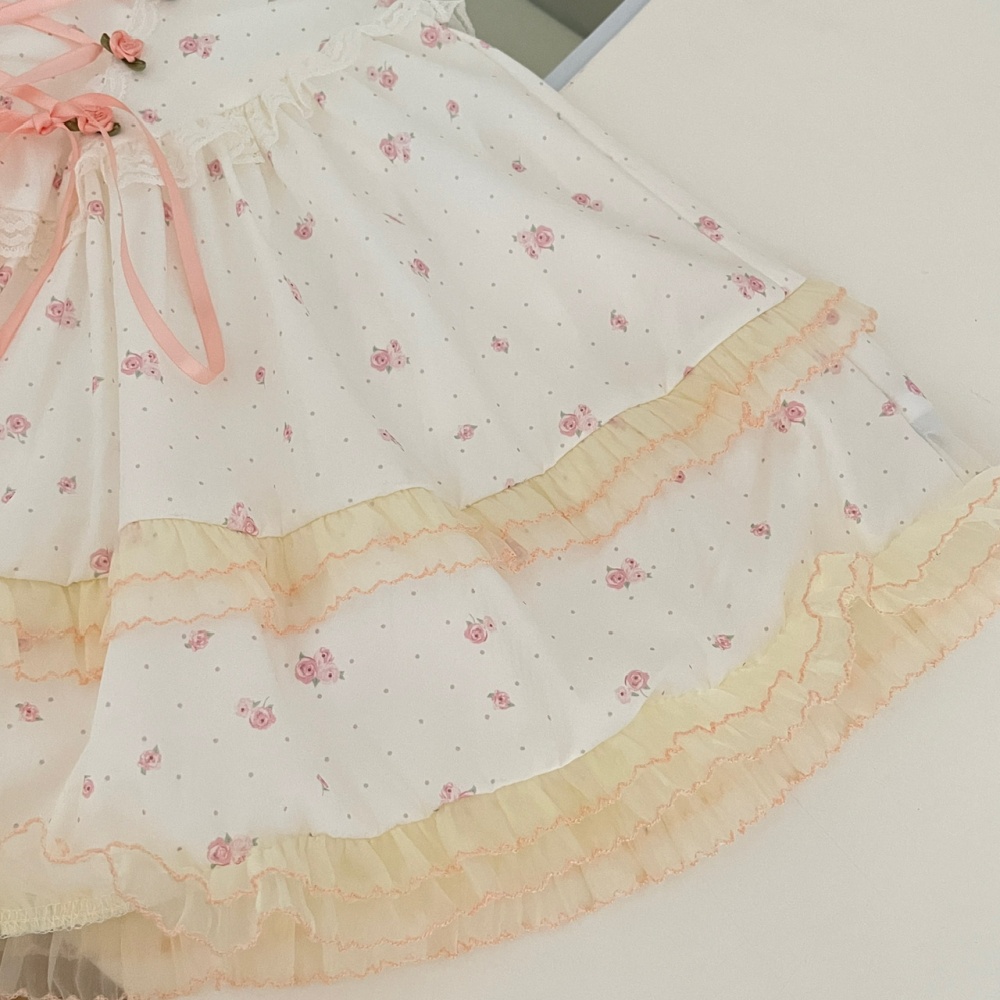 Enticement countryside France style dress