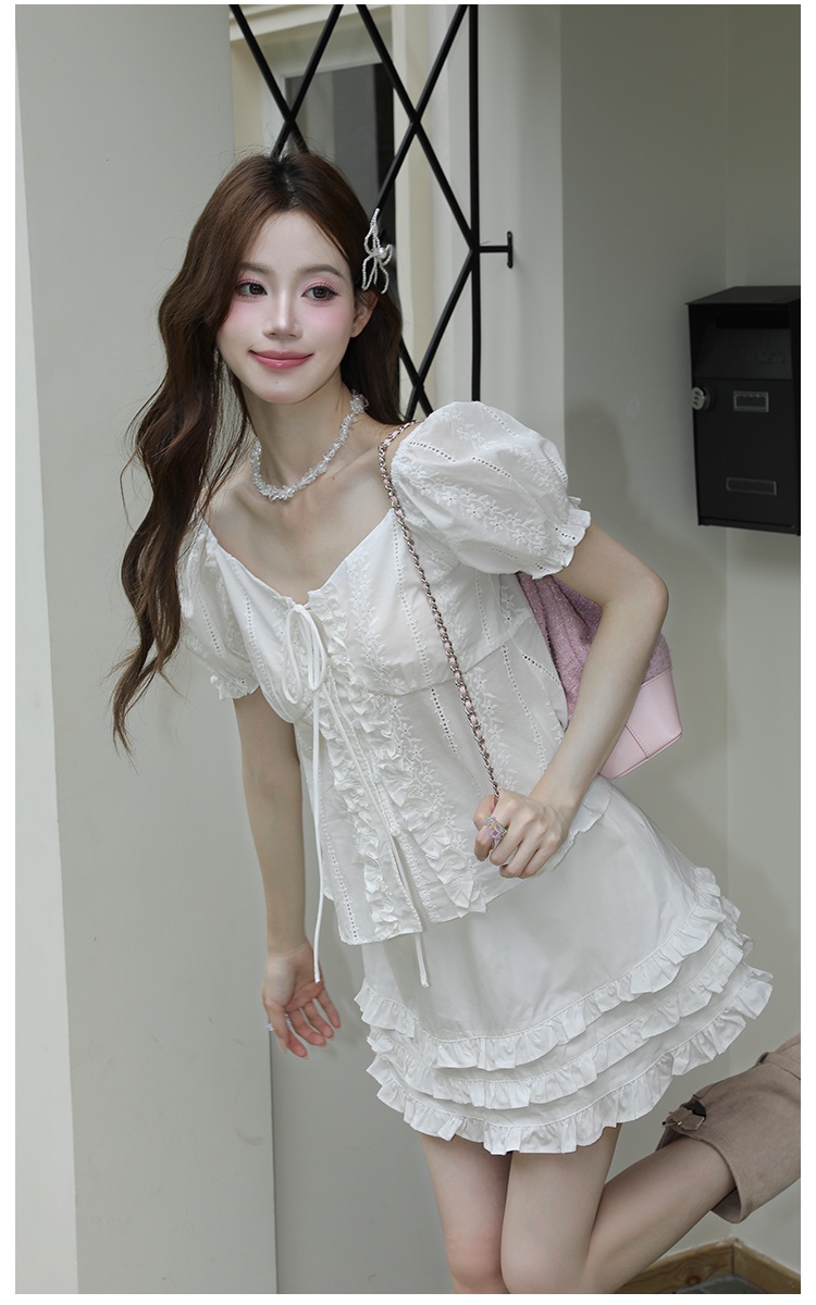 Embroidery frenum chiffon shirt V-neck tops for women